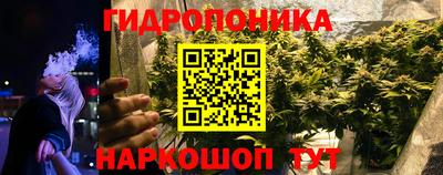 шишки Рузаевка