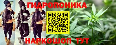 ГАЛЛЮЦИНОГЕННЫЕ ГРИБЫ Пушкино