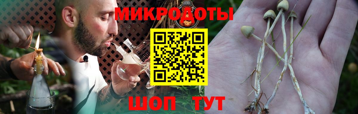 Псилоцибиновые грибы Psilocybine cubensis Самара
